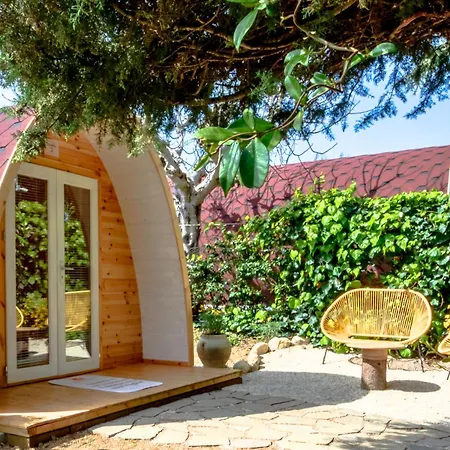 豪华帐篷 Yucca - Luxury Glamping Experience Torano Nuovo