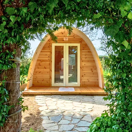 Yucca - Luxury Glamping Experience 豪华帐篷 *